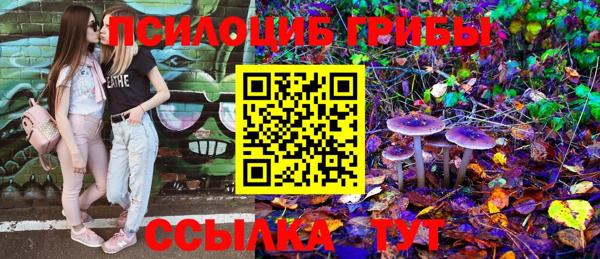 Псилоцибиновые грибы мухоморы Богданович