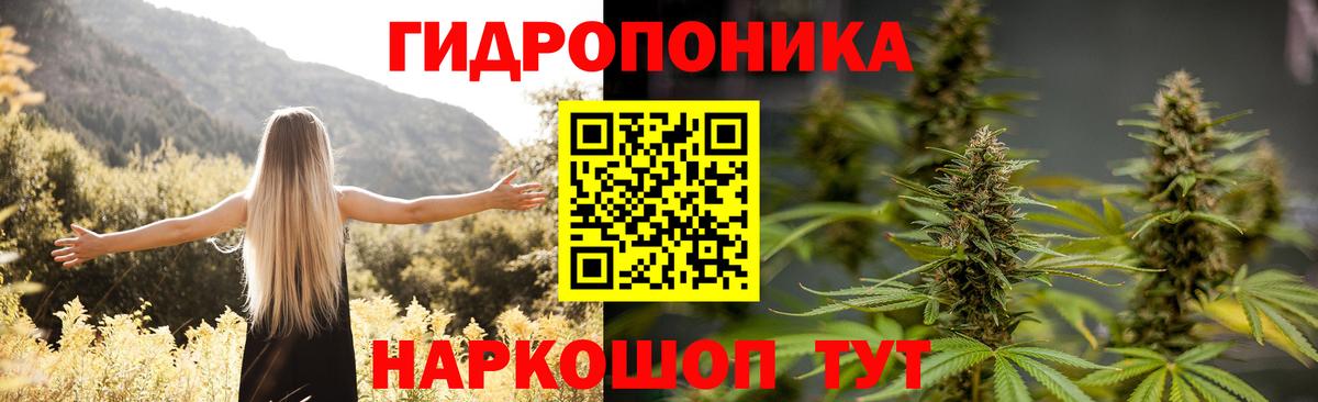 Канабис индика Богданович